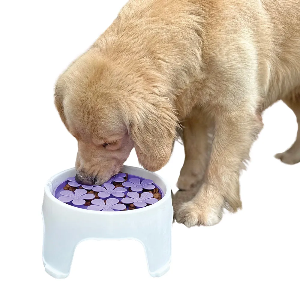 3-in-1 Lick Pad   Slow Feeder   Elevated Bowl