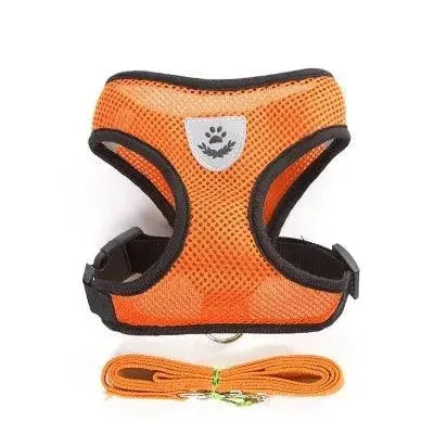 Adjustable Vest Harness with Lead Leash