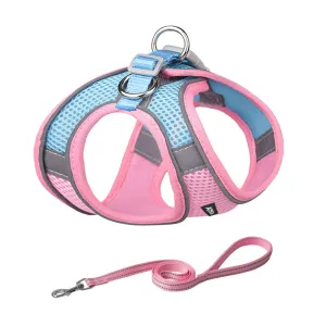 Aiitle Soft Adjustable Mesh Dog Harness Leash Set Pink