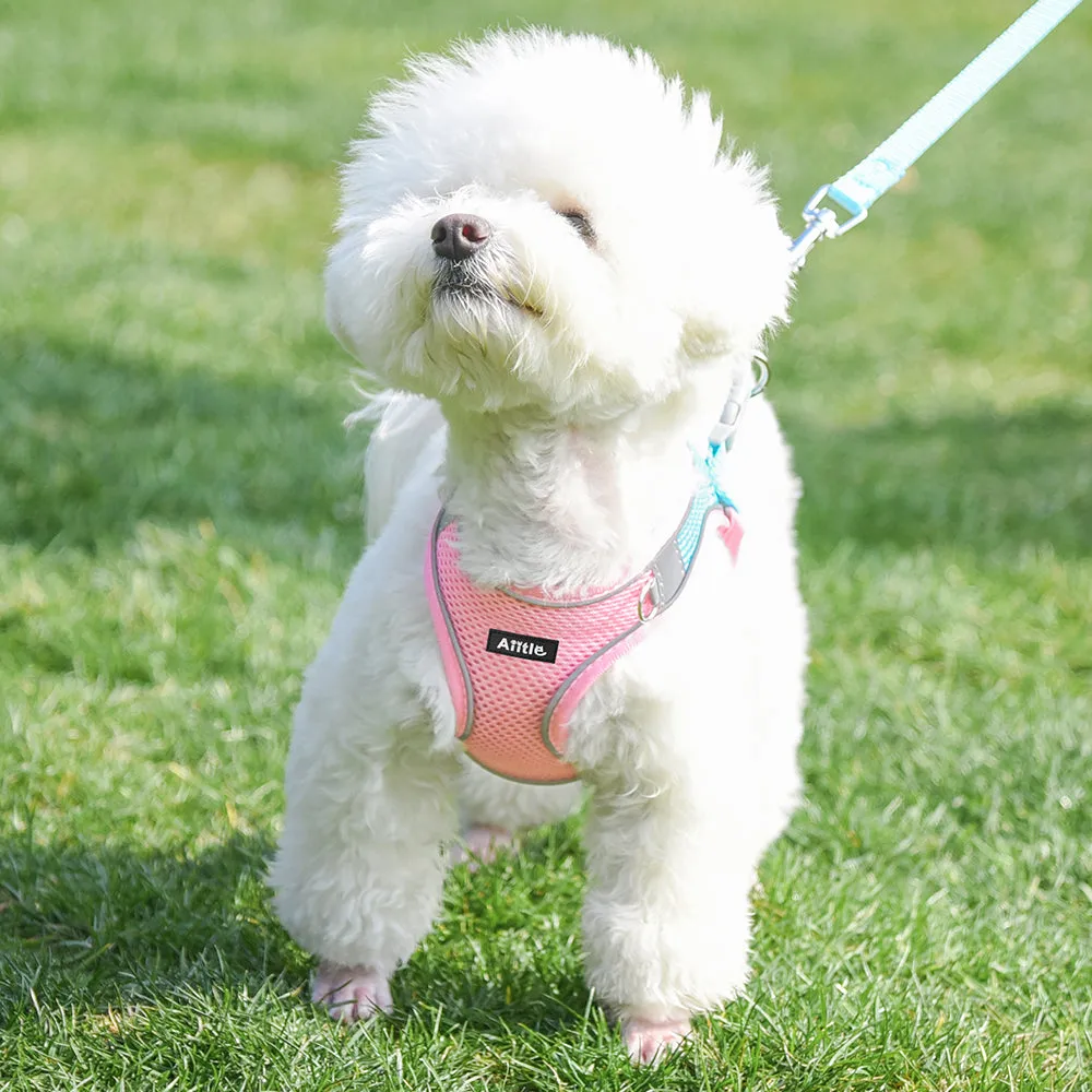 Aiitle Soft Adjustable Mesh Dog Harness Leash Set Pink