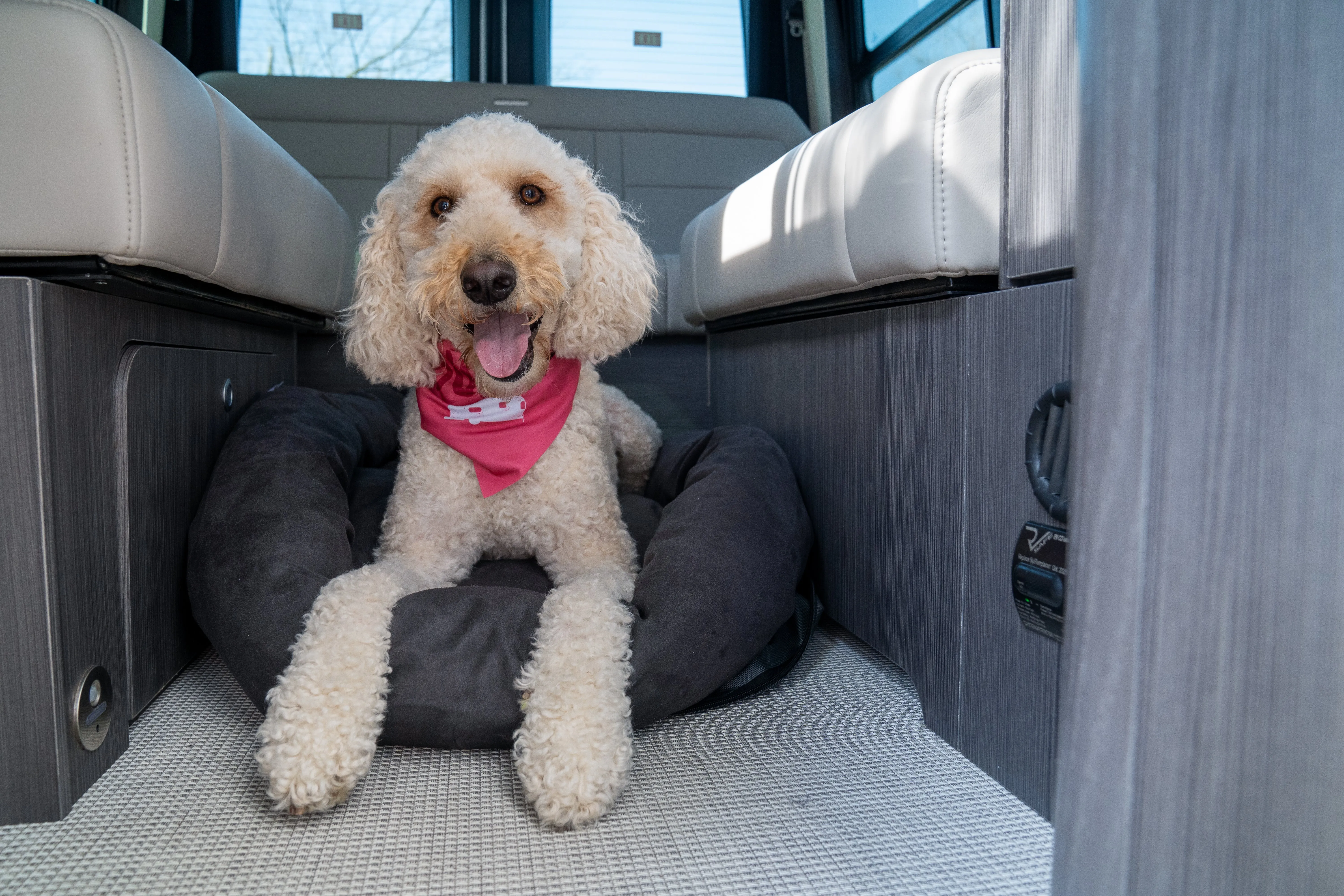 Airstream Travel Pet Bed