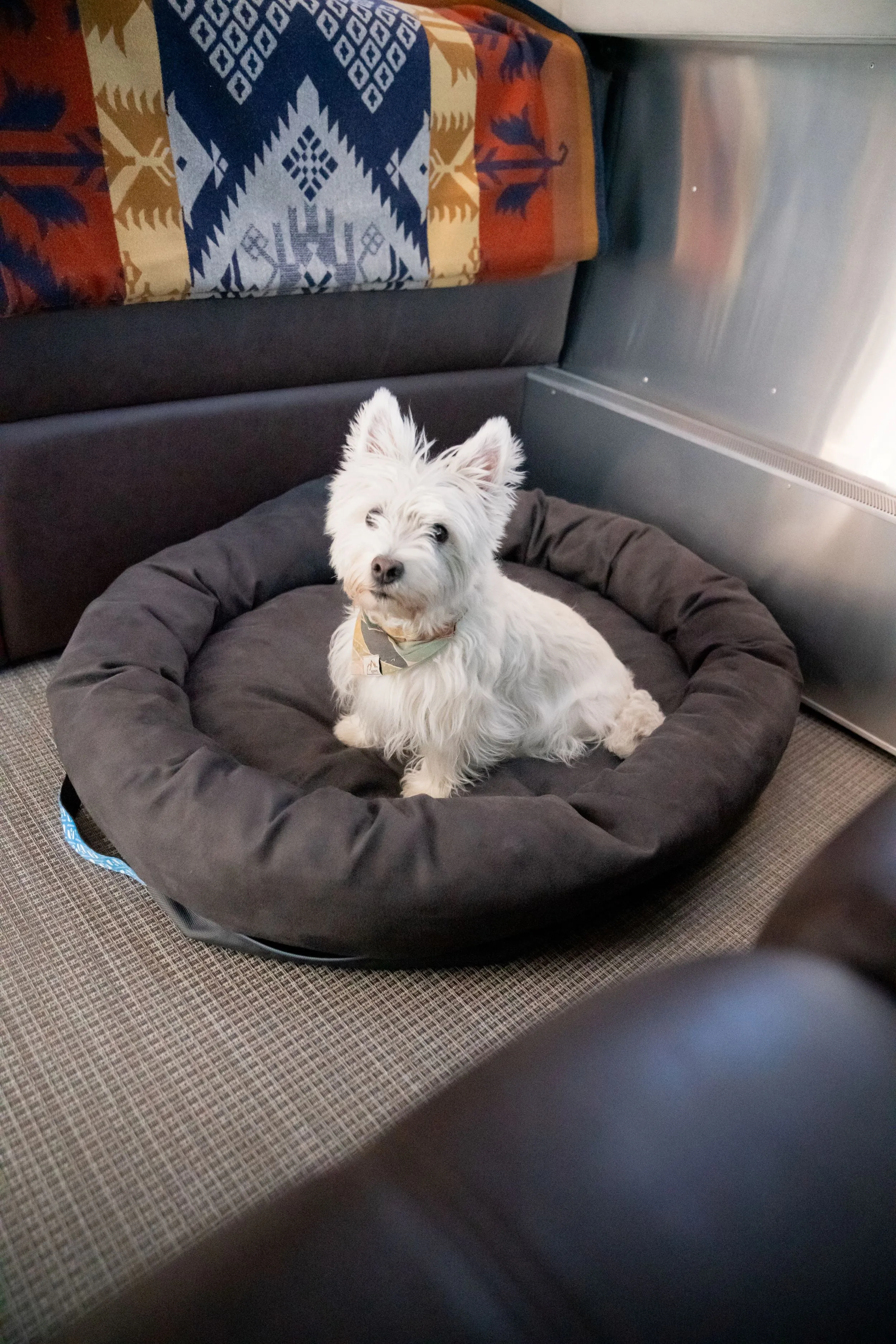 Airstream Travel Pet Bed