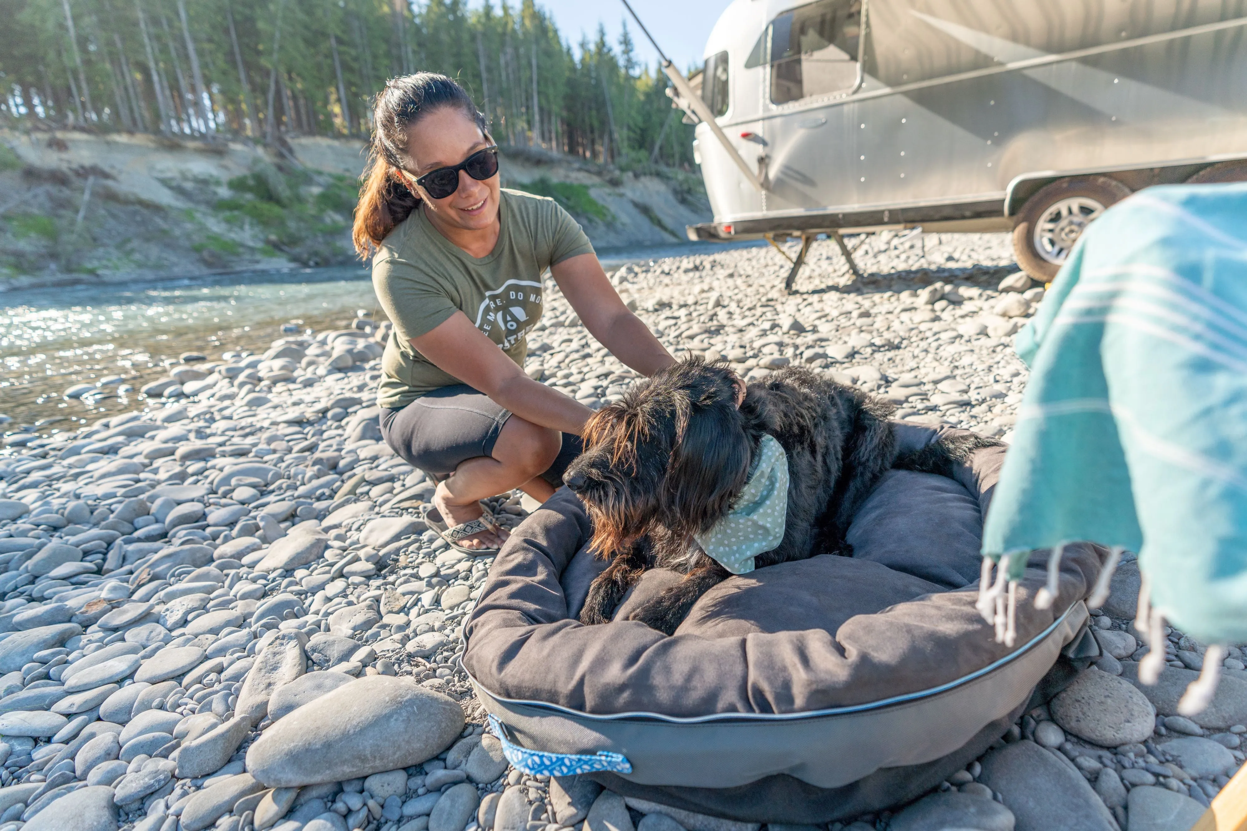 Airstream Travel Pet Bed