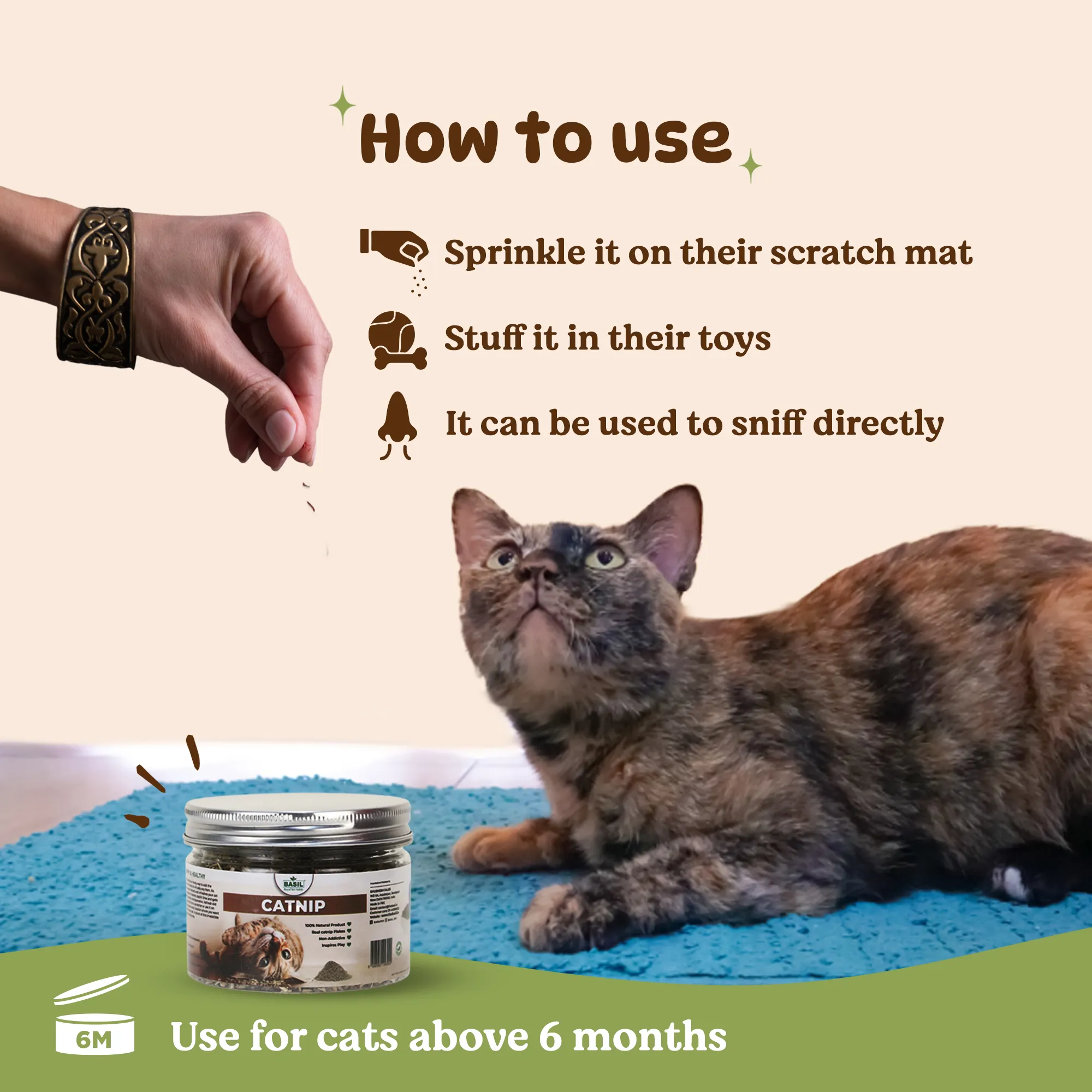 BASIL Catnip Jar for Kittens & Cats, Pure & Natural Cat Nip