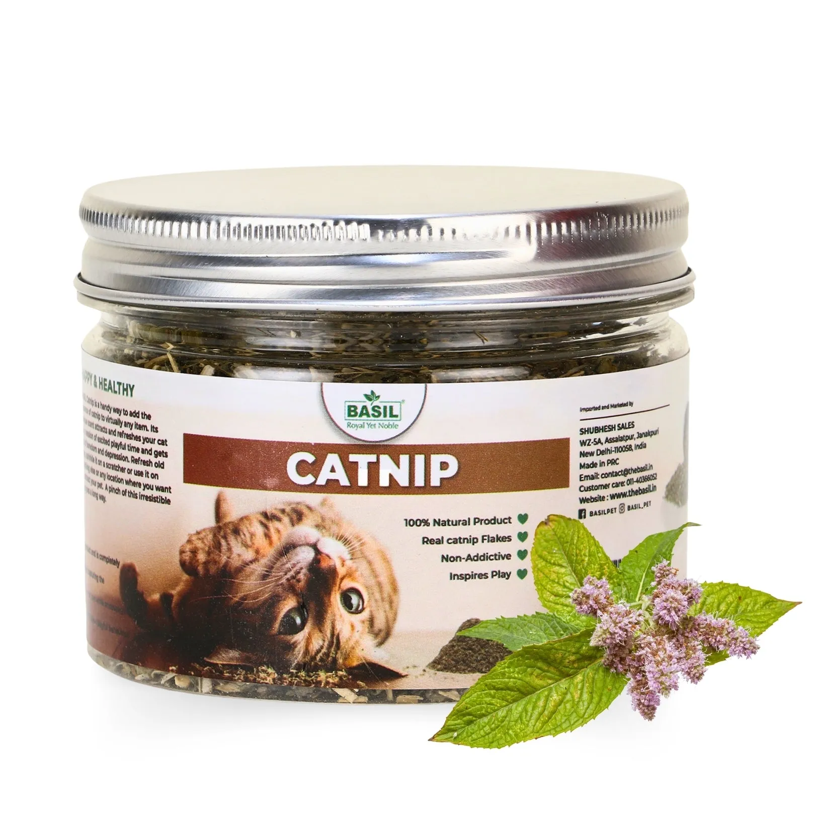 BASIL Catnip Jar for Kittens & Cats, Pure & Natural Cat Nip