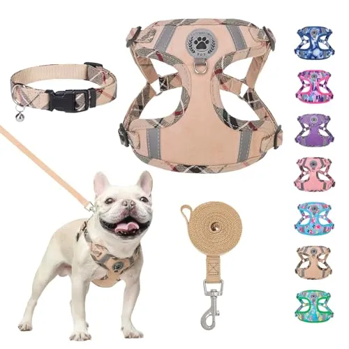 BEAUTYZOO Step in Dog Harness Collar and Leash Set for Small Medium Large Dogs, No Pull No Choke Puppy Harness,Soft Mesh Reflective Pet Padded Vest Adjustable for Doggie Girl or Boy,Chihuahua,Beige XS