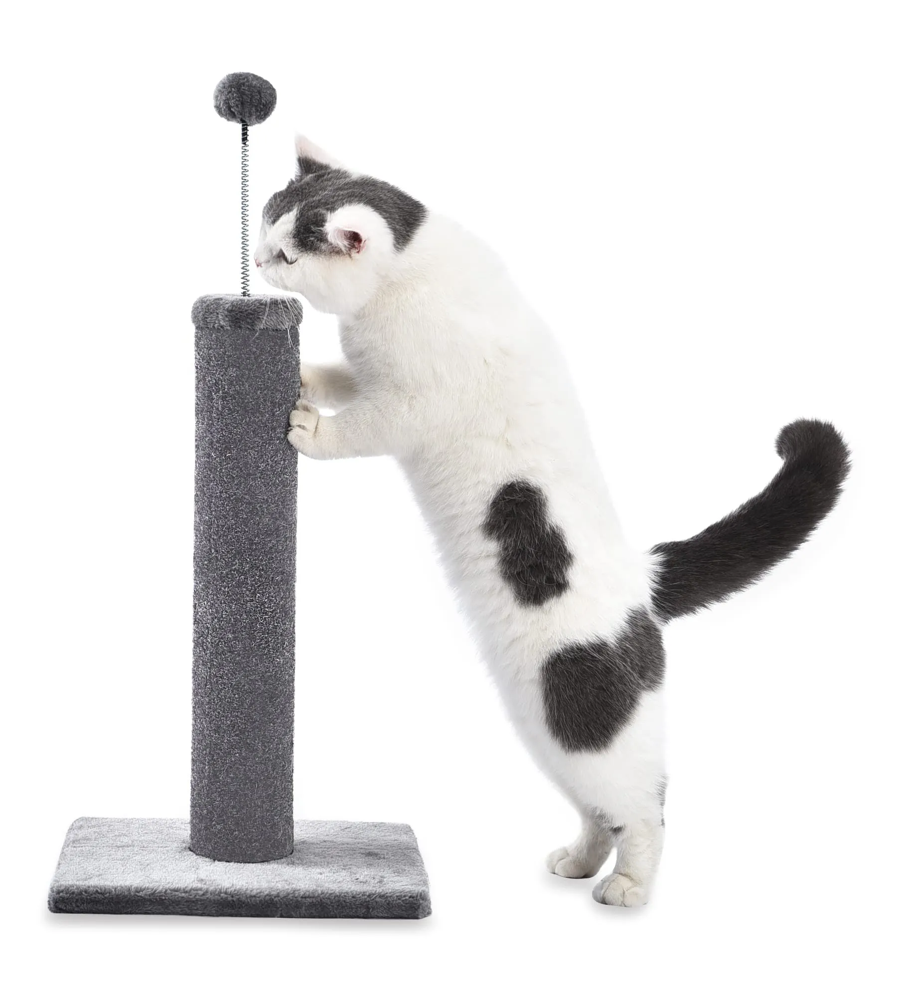 Cat Craft 20 Inch Carpet Cat Scratching Post for Indoor Cats with Sturdy Base