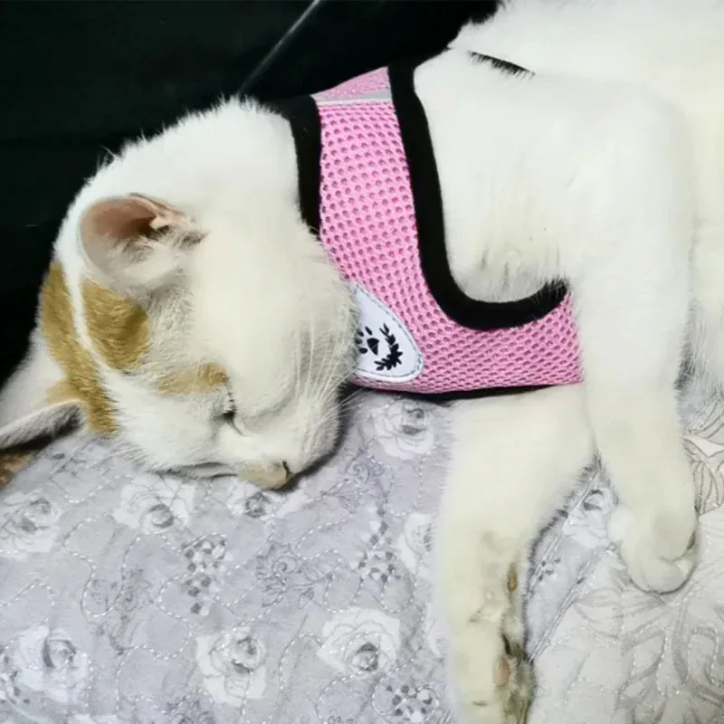 Cat Dog Reflective Harness