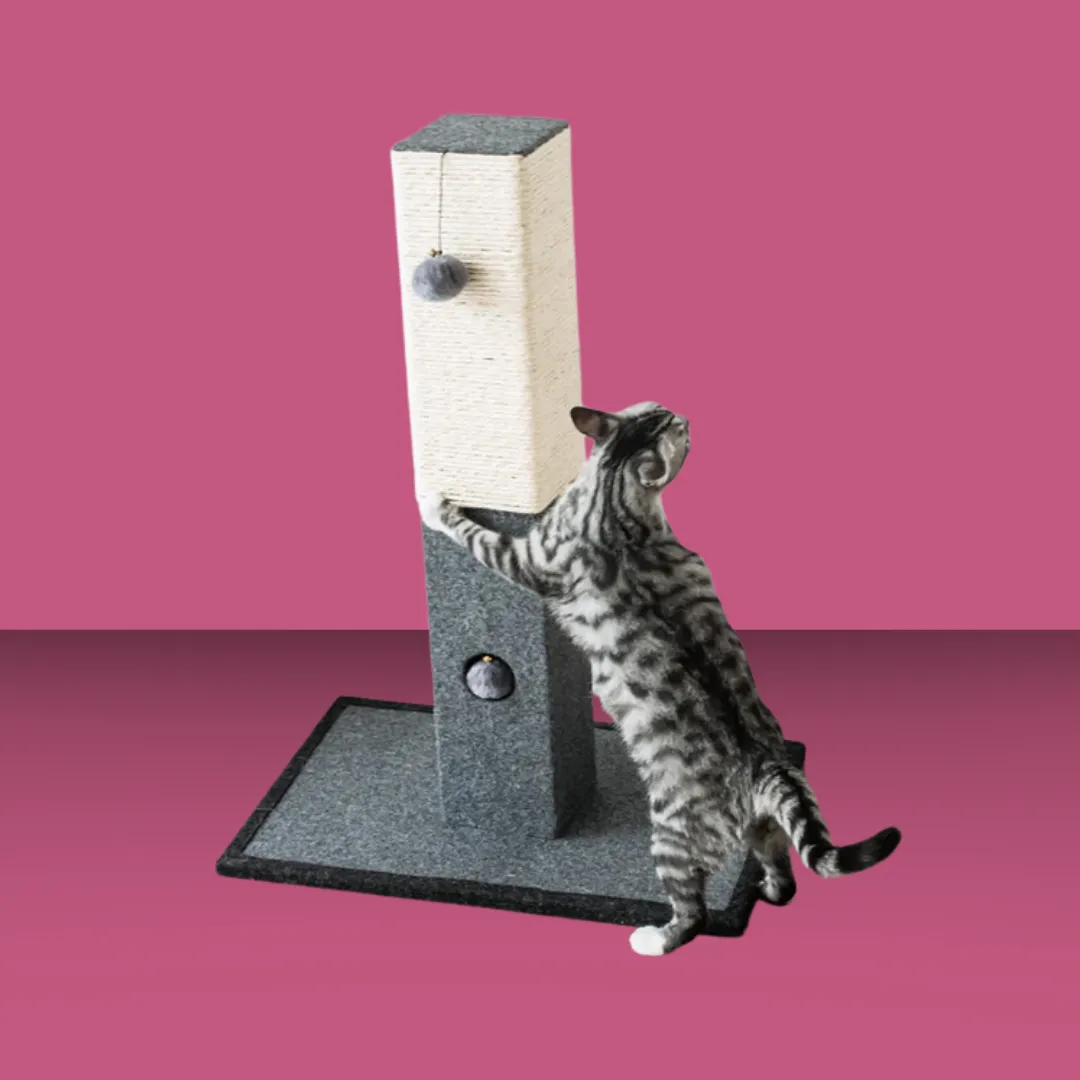 Catry Natural Minimalist Cat Scratching Post