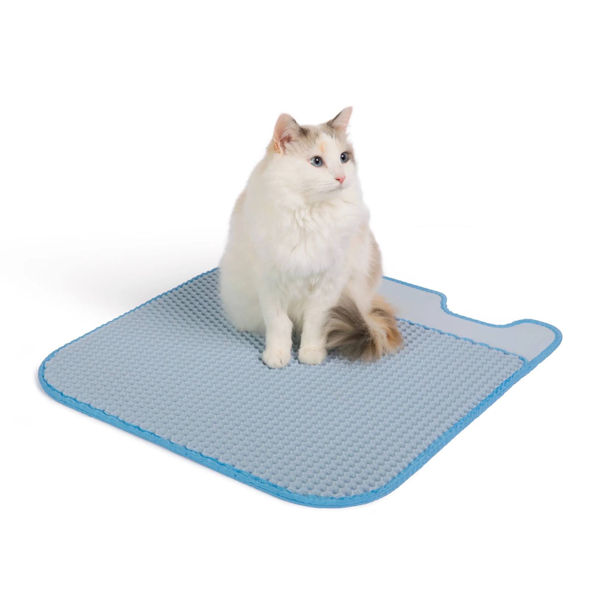 Color-matched Litter Mat