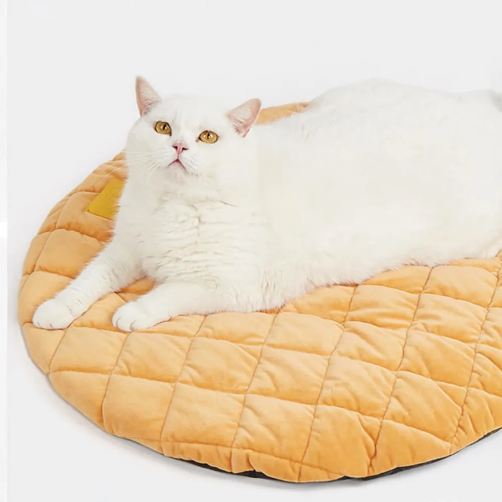 Donut Shaped Multi-Purpose Washable Dog & Cat Bed with Squeaky Pillow