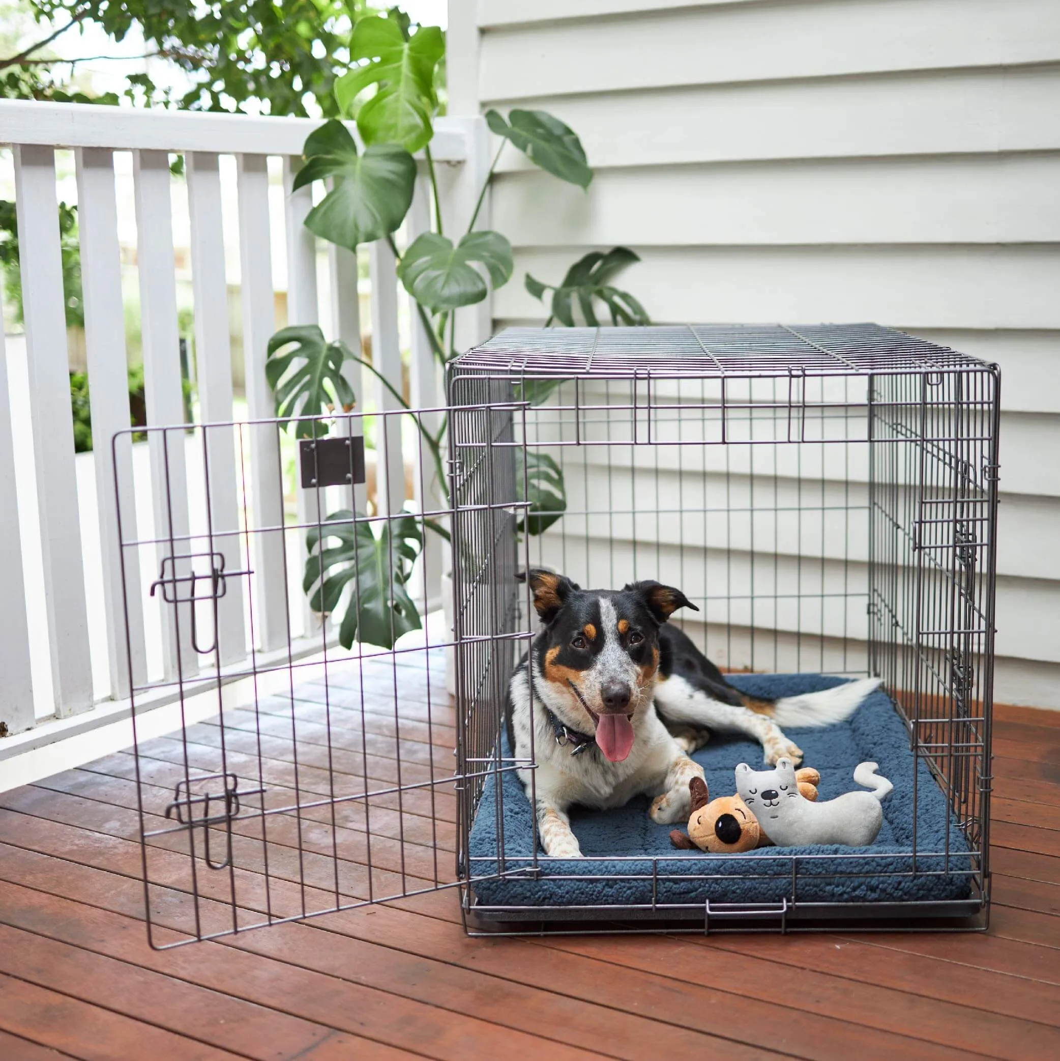 Everyday Pet Crate