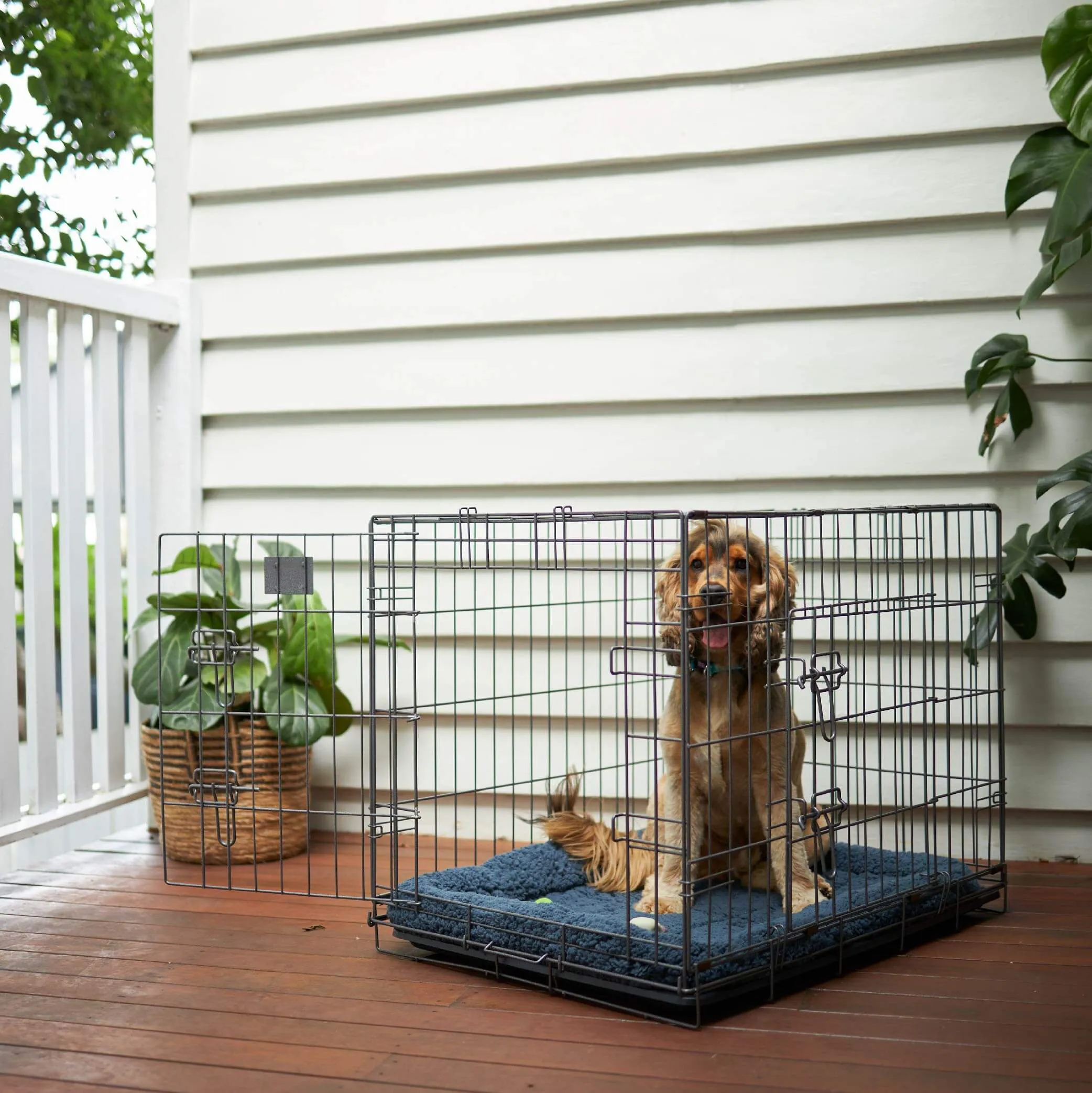 Everyday Pet Crate