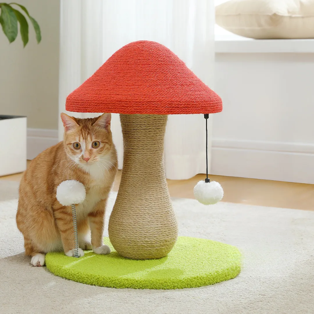 Fungi Frenzy Cat Scratcher