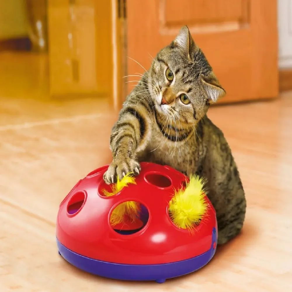 Glide 'n Seek Cat Toy