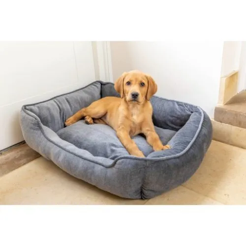 House of Paws Grey Velvet Square Bed L