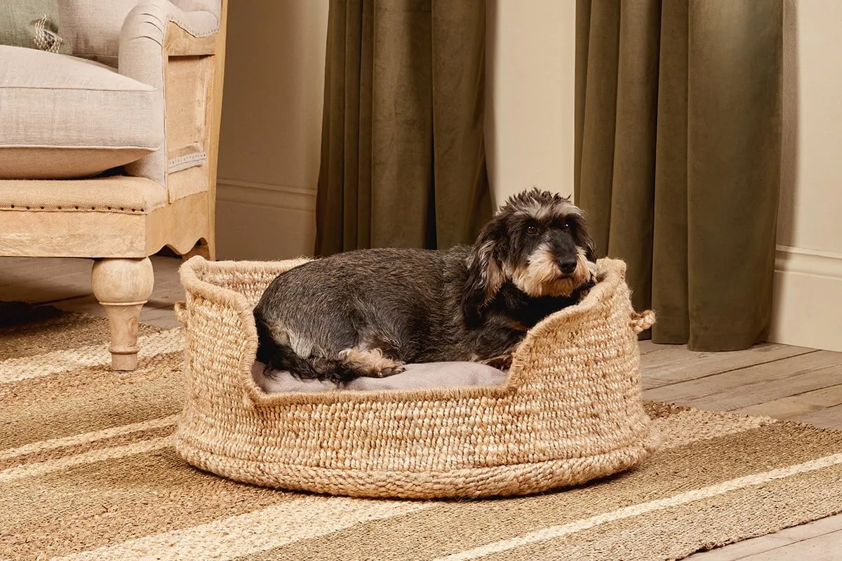 Jaiyuh Hemp Pet Bed - Natural - Small