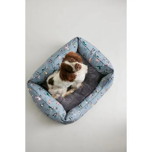 Joules Rainbow Dog Bed - Medium