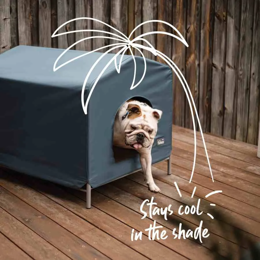 Kazoo Cabana Dog House Cobalt