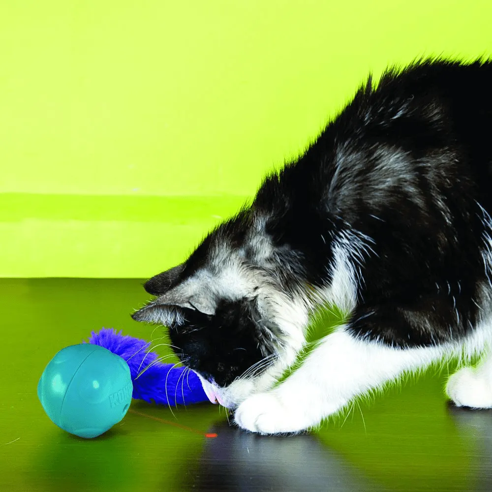 Kong Laser Craze Catnip Toys for Cats