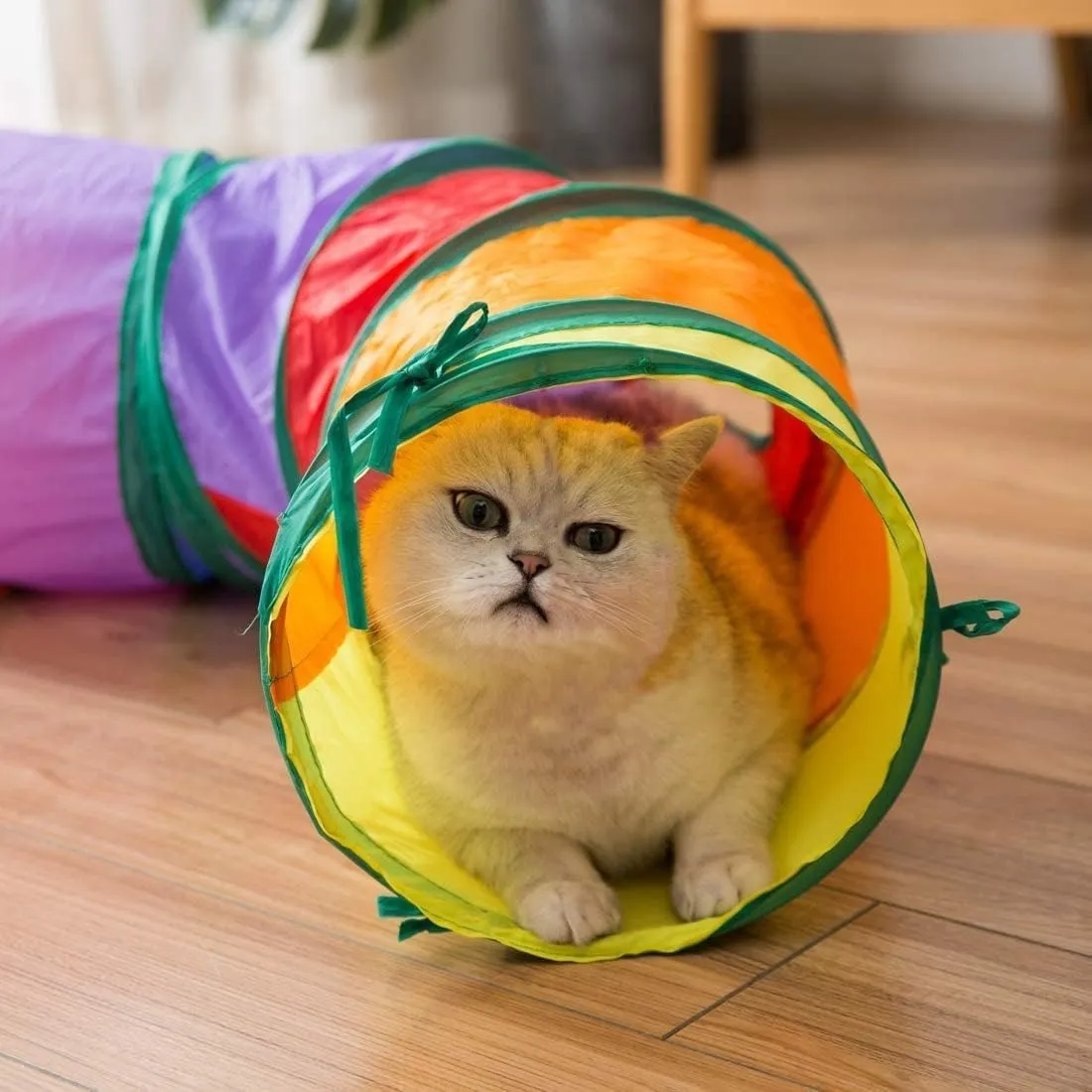 Large Foldable Cat Tunnel - Endless Fun with Your Kitten