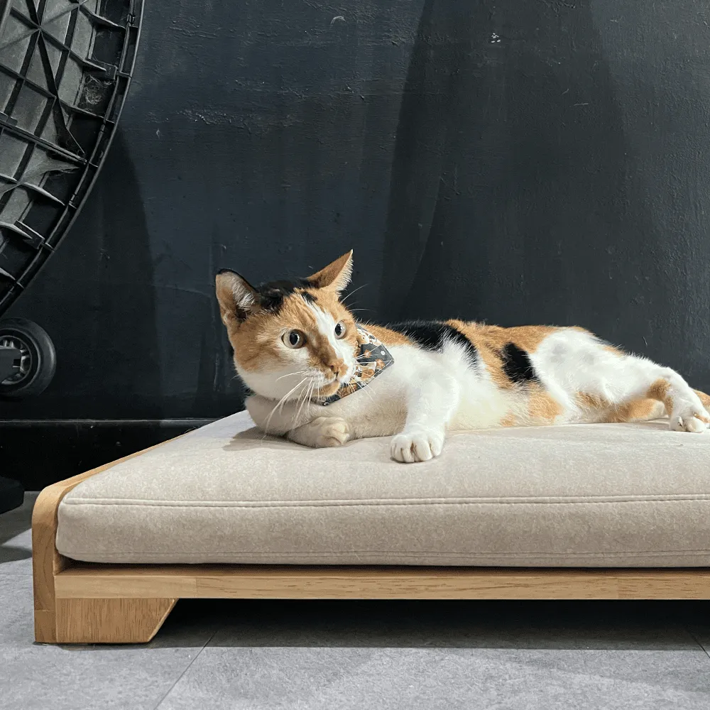 Mara Pet Bed by Zest Livings