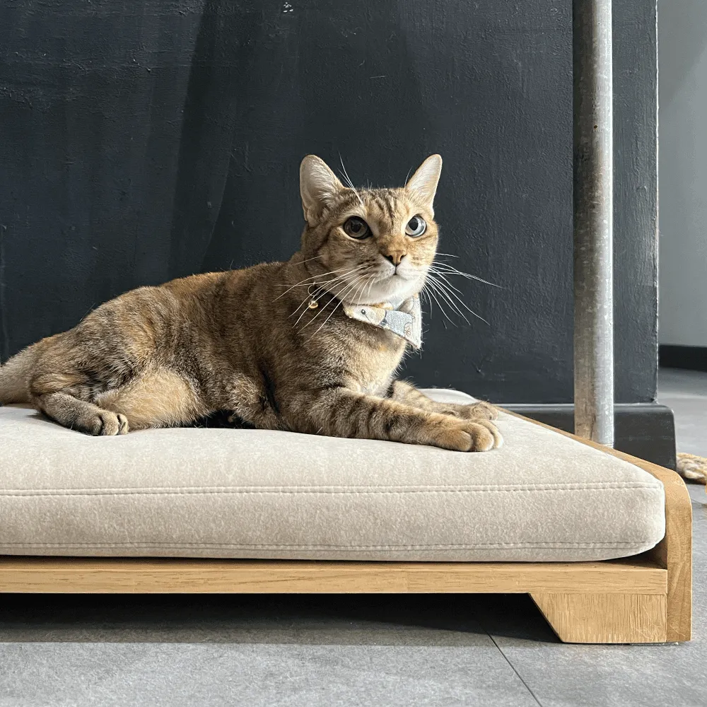 Mara Pet Bed by Zest Livings