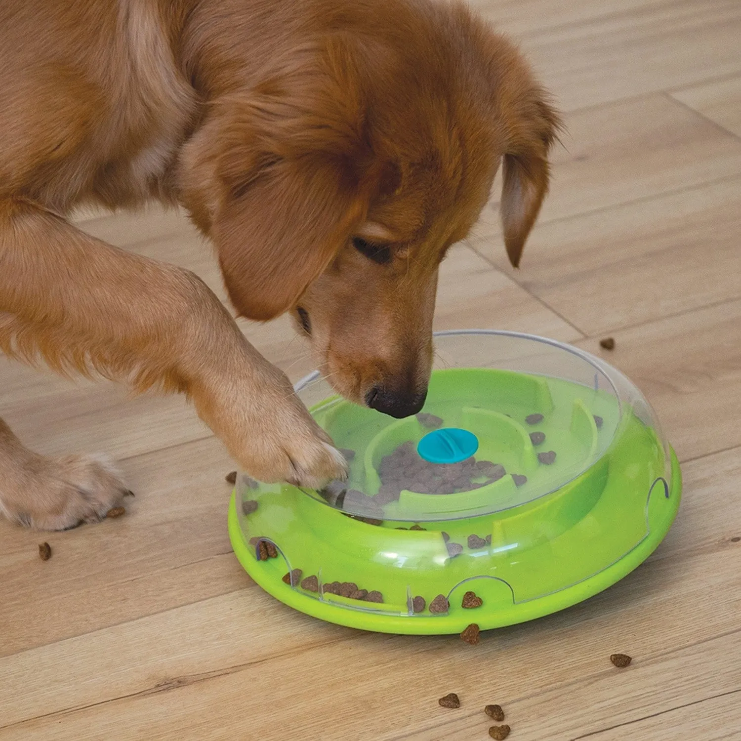 Nina Ottosson Wobble Slow Feeder Bowl Dog Game Blue/Green