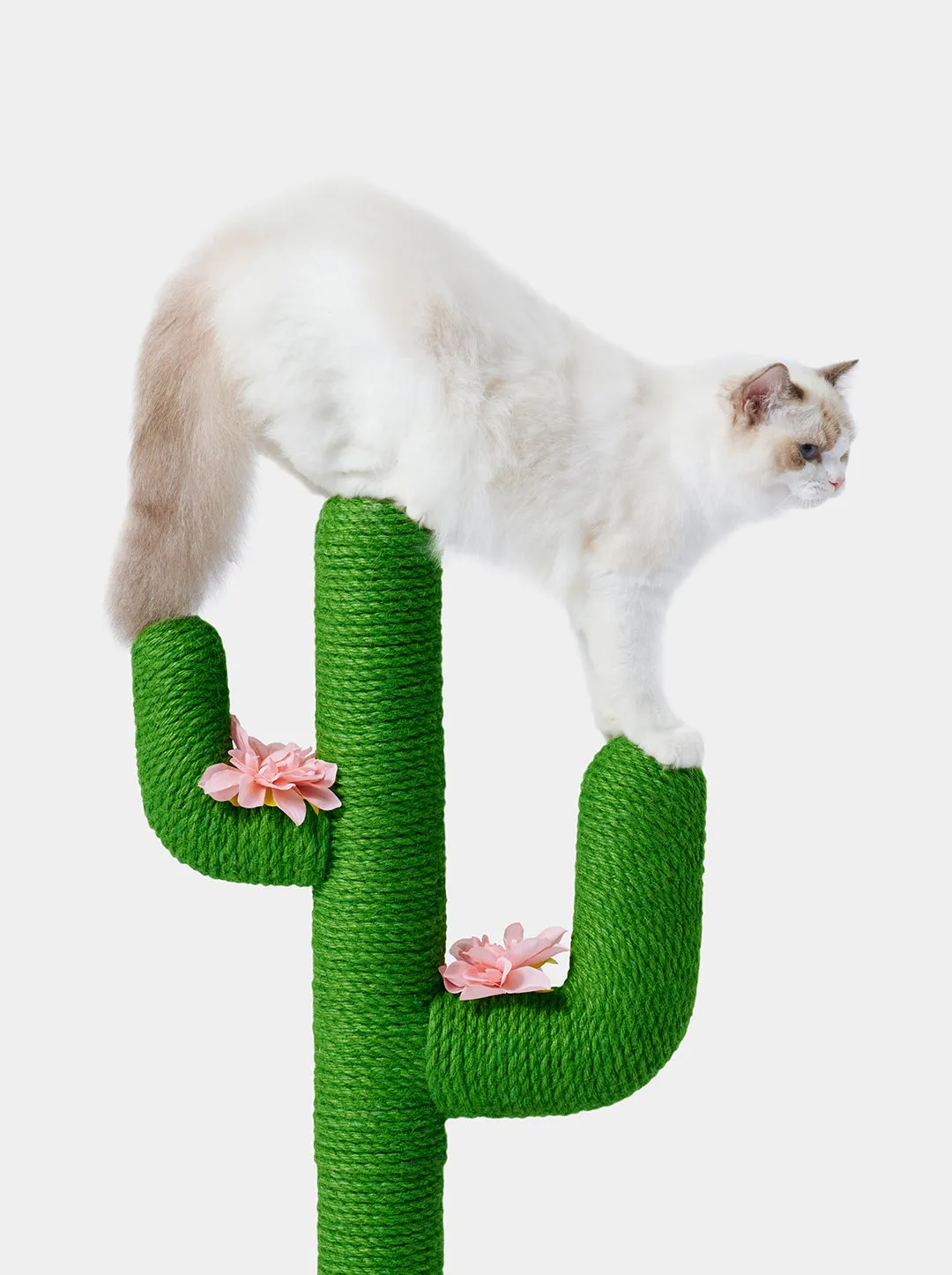 Oasis Cactus Cat Tree 31”