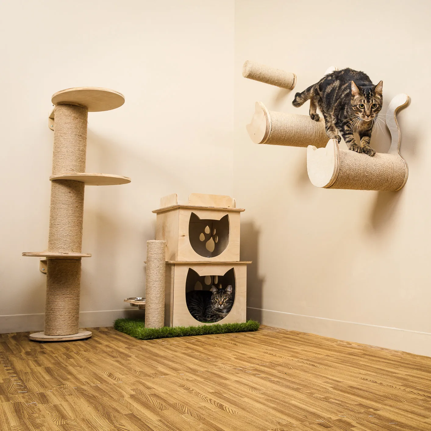 On2 Pets Cat Furniture Wall-Mounted Scratcher Cat Steps, Sisal Rope Scratching Posts Floating Cat Wall Perches (Cylinder)