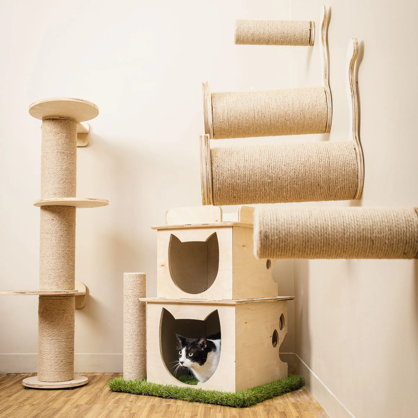 On2 Pets Cat Furniture Wall-Mounted Scratcher Cat Steps, Sisal Rope Scratching Posts Floating Cat Wall Perches (Cylinder)