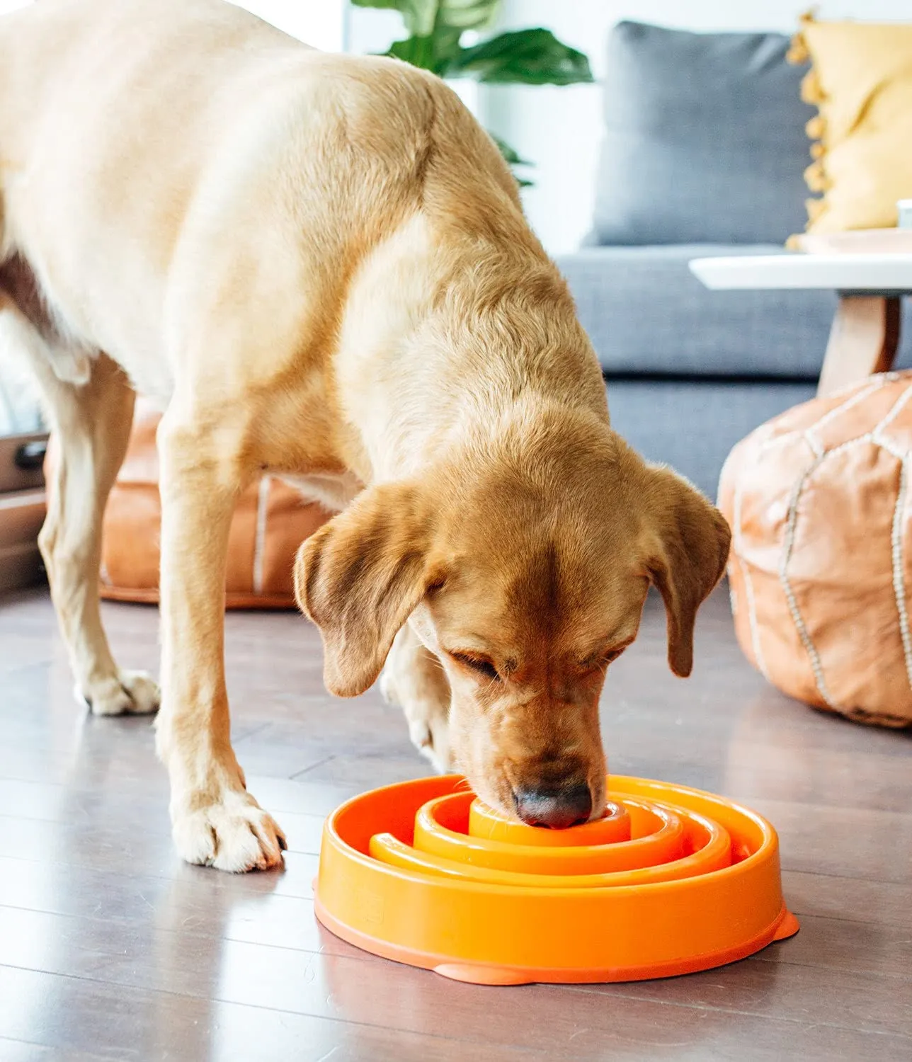 Outward Hound Fun Feeder Slo Bowl Large / Regular (Orange)