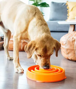 Outward Hound Fun Feeder Slo Bowl Large / Regular (Orange)