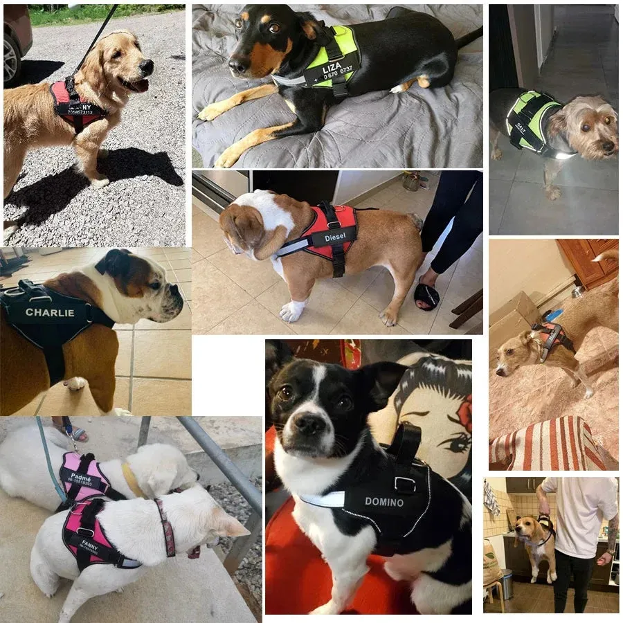 Pat and Pet Emporium | Dog Harnesses | NO PULL Reflect Vests