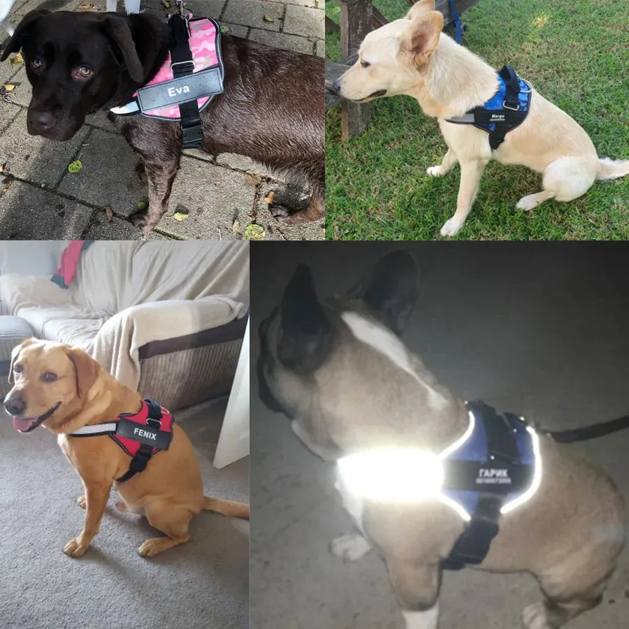 Pat and Pet Emporium | Dog Harnesses | NO PULL Reflect Vests