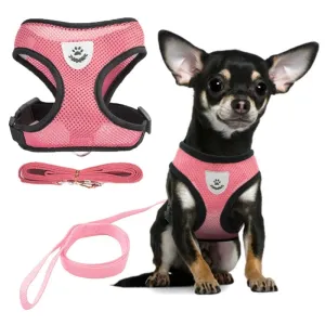 Pat and Pet Emporium | Pet Harnesses | Adjustable Pet Vest Set