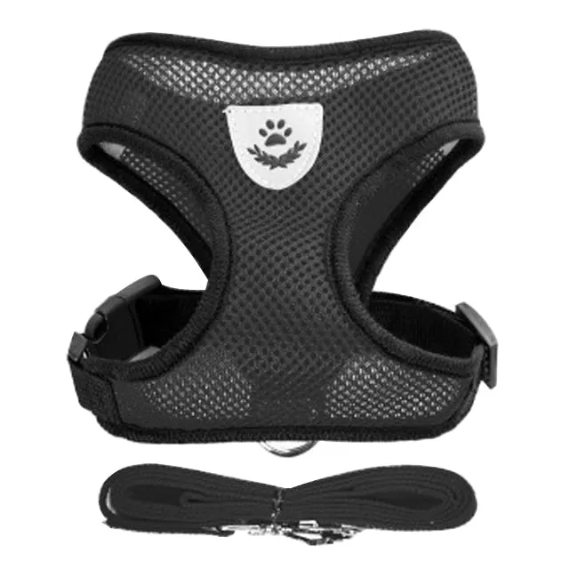 Pat and Pet Emporium | Pet Harnesses | Adjustable Pet Vest Set