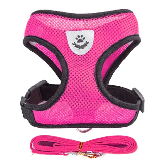 Pat and Pet Emporium | Pet Harnesses | Adjustable Pet Vest Set