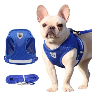 PAWS ASIA China Manufacturers Competitive Price Comfort Vest With Pet Leash