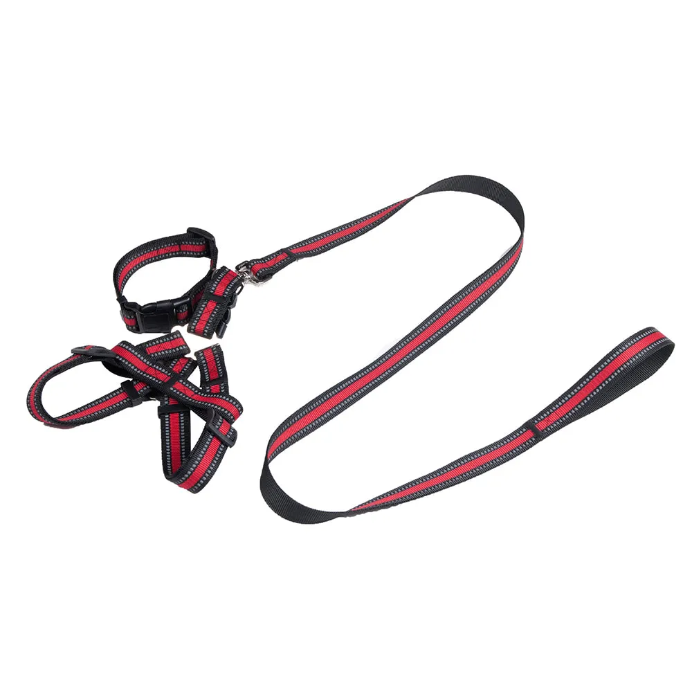 PAWS ASIA Manufacturers Dropshipping Polyester Reflective Adjustable Harness Set Dog Leash