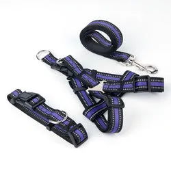 PAWS ASIA Manufacturers Dropshipping Polyester Reflective Adjustable Harness Set Dog Leash