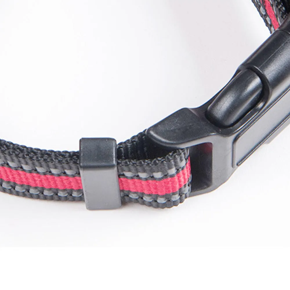 PAWS ASIA Manufacturers Dropshipping Polyester Reflective Adjustable Harness Set Dog Leash