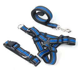 PAWS ASIA Manufacturers Dropshipping Polyester Reflective Adjustable Harness Set Dog Leash