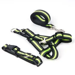 PAWS ASIA Manufacturers Dropshipping Polyester Reflective Adjustable Harness Set Dog Leash