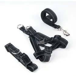 PAWS ASIA Manufacturers Dropshipping Polyester Reflective Adjustable Harness Set Dog Leash