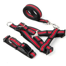 PAWS ASIA Manufacturers Dropshipping Polyester Reflective Adjustable Harness Set Dog Leash