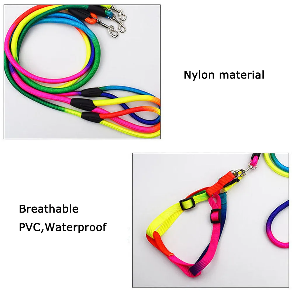 PAWS ASIA Suppliers Custom High Quality Nylon Adjustable Colorful Dog Leash And Harness