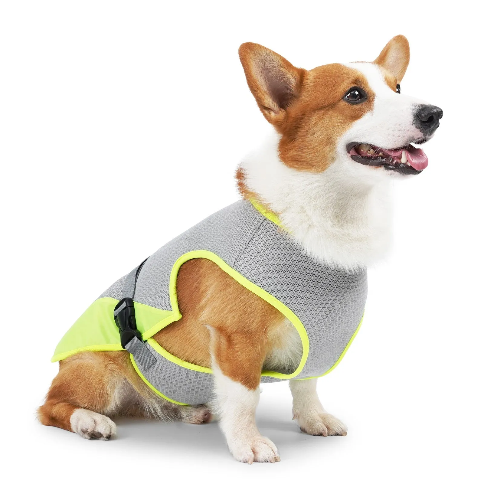 Pet Cooling Clothing Dog Clothing Pet Cooling Pet Supplies