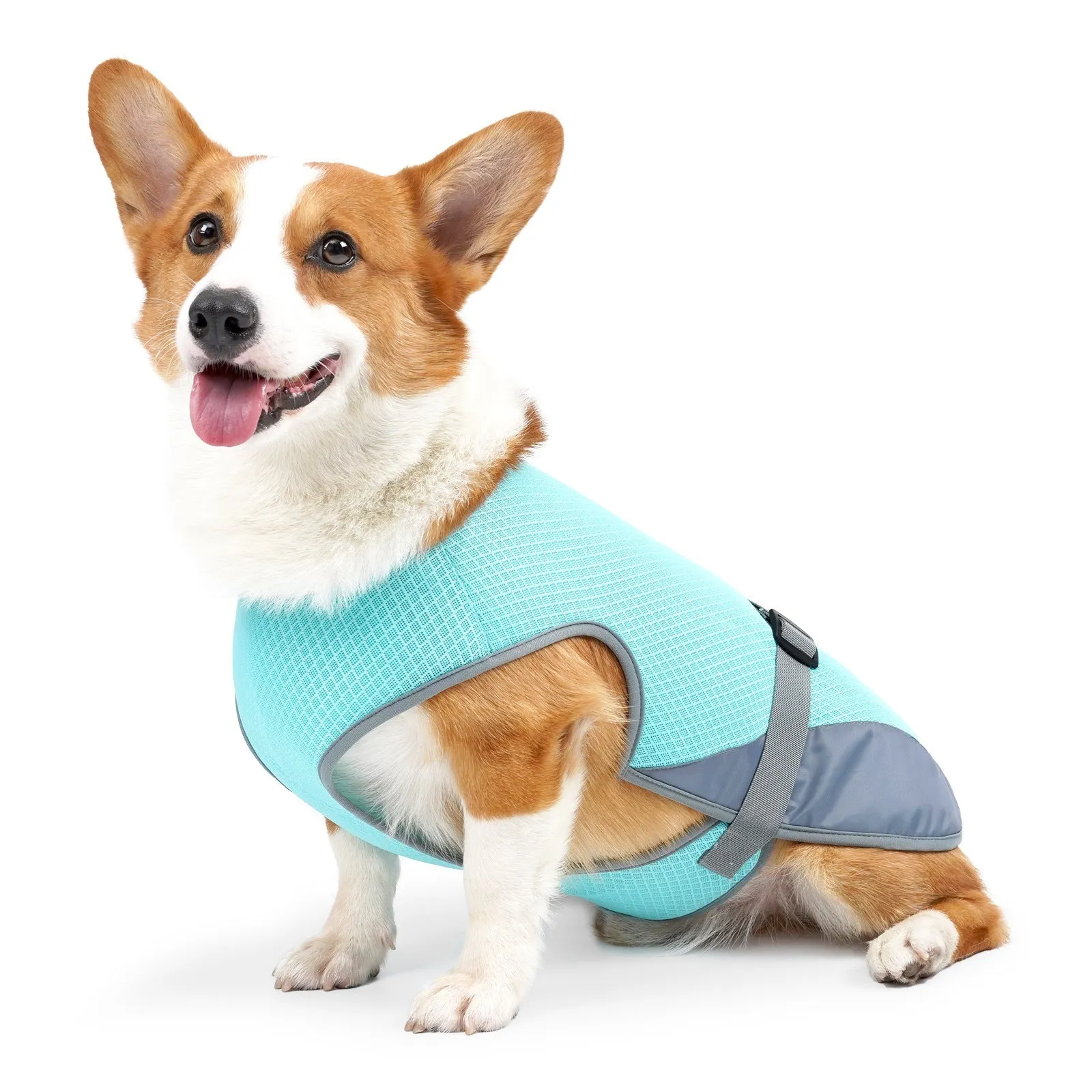 Pet Cooling Clothing Dog Clothing Pet Cooling Pet Supplies