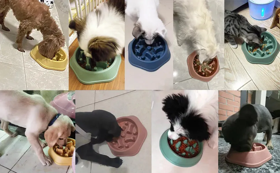 Pet Dog Bowl Dog Slow Feeder Bowl Puppy Cat Slow Eating Dish Bowl Anti-Gulping Food Plate Feeding Dog Cat Food Bowl Pet Supplies